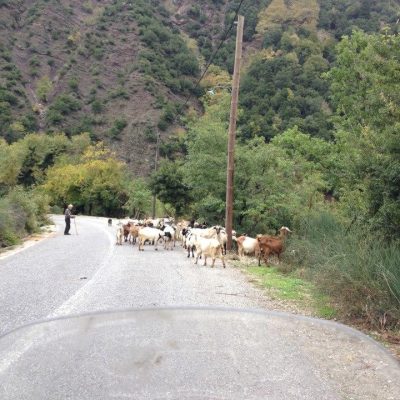 Grécia: Um jogo de gamão e o melhor cabrito do mundo