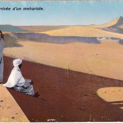 A sorte do camelo, esse extraordinário viajante