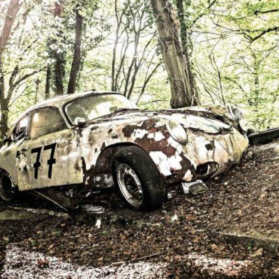 A estranha beleza de uma floresta cheia de clássicos abandonados