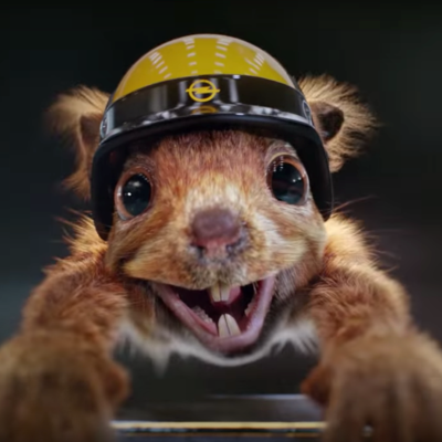 O sapo, o esquilo, o leão e o chimpanzé vão fazer ralis